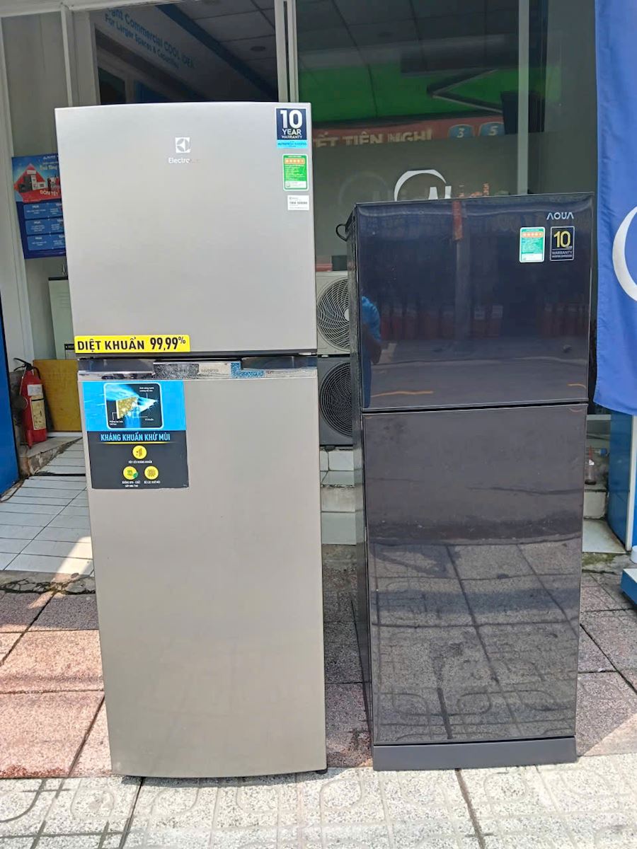 TỦ LẠNH ELECTROLUC 254 LÍT INVERTER